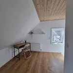 Willkommen In Frifelt Naehe Romo Mit Wunderschoenen Garten Feriehus *